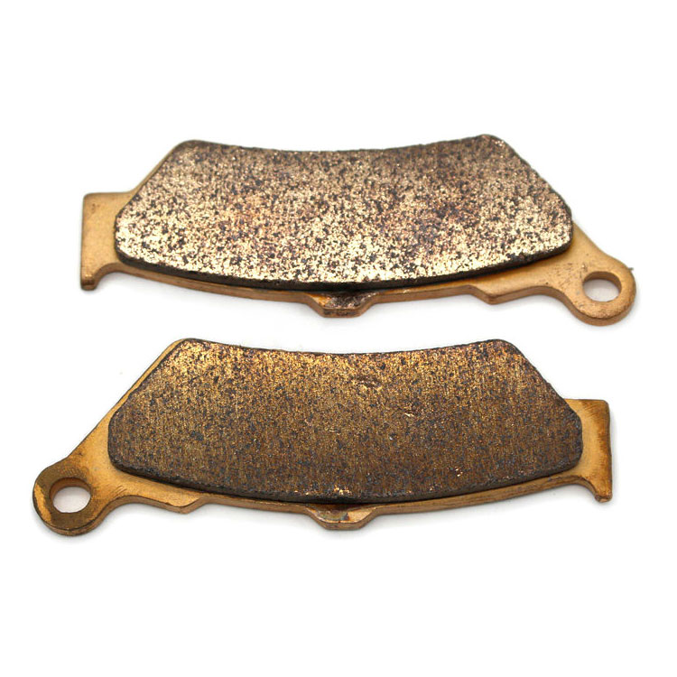 Custom motorcycle sintered brake pads FA209/2 for BMW